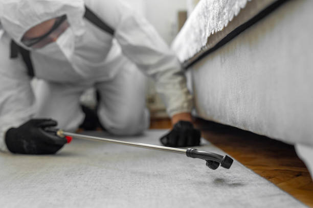 Professional Bed Bug Control technician working in New Brockton, AL