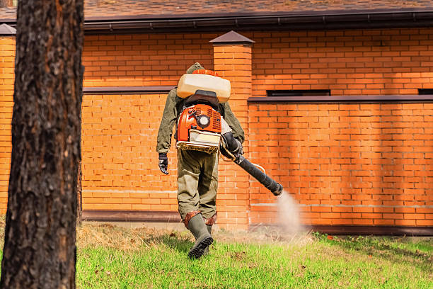 Trusted Termite Control service in New Brockton, AL - Nex Pest Control